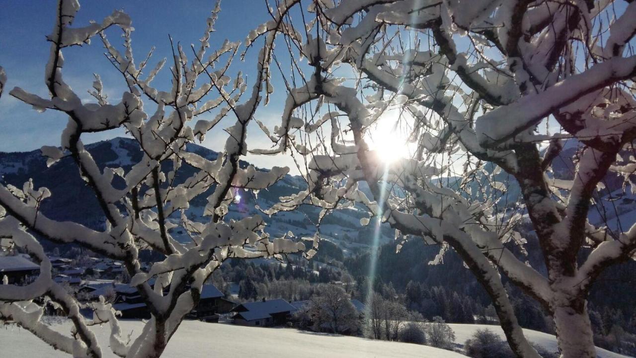 Aussermoos-Zuhaus Alpbach Eksteriør billede